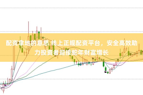 配资拿地的意思 线上正规配资平台，安全高效助力投资者迎接蛇年财富增长