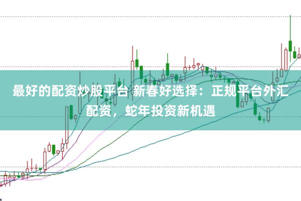 最好的配资炒股平台 新春好选择：正规平台外汇配资，蛇年投资新机遇