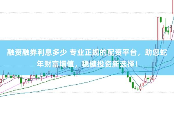 融资融券利息多少 专业正规的配资平台，助您蛇年财富增值，稳健投资新选择！