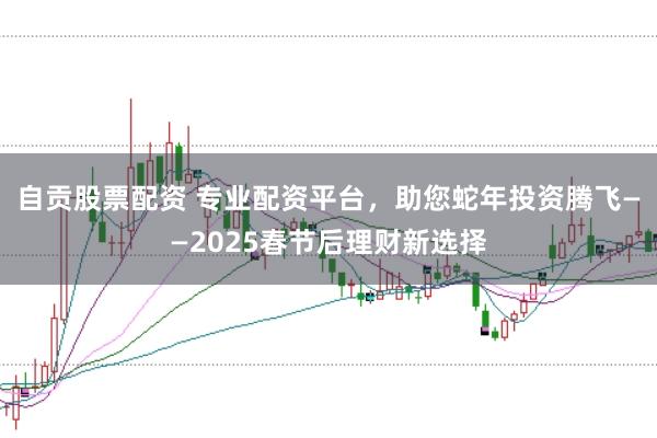 自贡股票配资 专业配资平台，助您蛇年投资腾飞——2025春节后理财新选择
