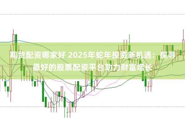 期货配资哪家好 2025年蛇年投资新机遇：探寻最好的股票配资平台助力财富增长