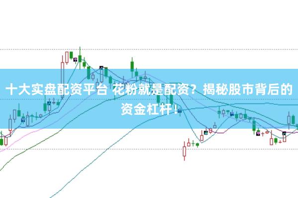 十大实盘配资平台 花粉就是配资？揭秘股市背后的资金杠杆！