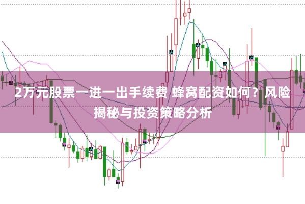 2万元股票一进一出手续费 蜂窝配资如何？风险揭秘与投资策略分析