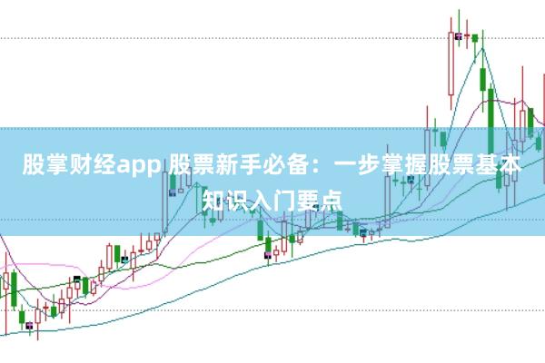 股掌财经app 股票新手必备：一步掌握股票基本知识入门要点