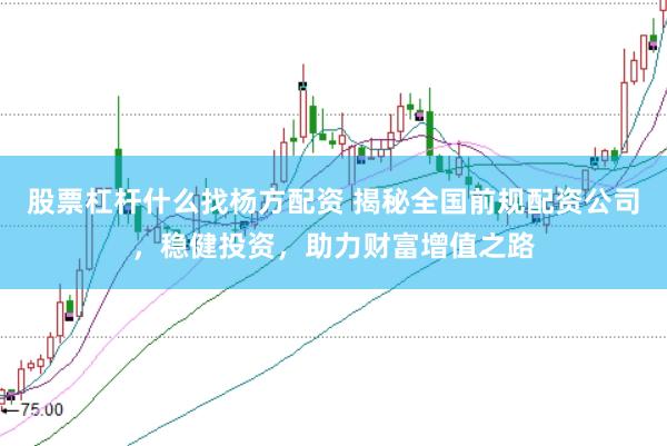 股票杠杆什么找杨方配资 揭秘全国前规配资公司，稳健投资，助力财富增值之路