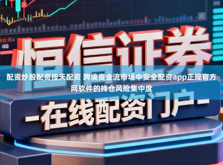 配资炒股配资按天配资 跨境资金流市场中安全配资app正规官方网软件的持仓风险集中度