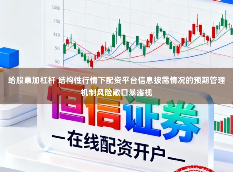给股票加杠杆 结构性行情下配资平台信息披露情况的预期管理机制风险敞口暴露视