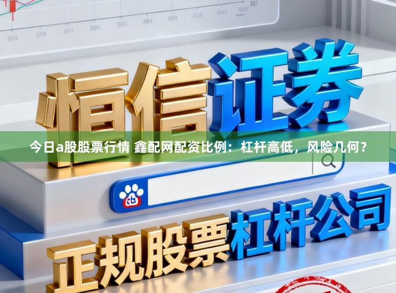 今日a股股票行情 鑫配网配资比例：杠杆高低，风险几何？